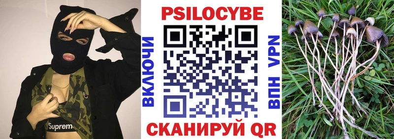 где можно купить   Миллерово  ОМГ ОМГ ссылка  Галлюциногенные грибы MAGIC MUSHROOMS 